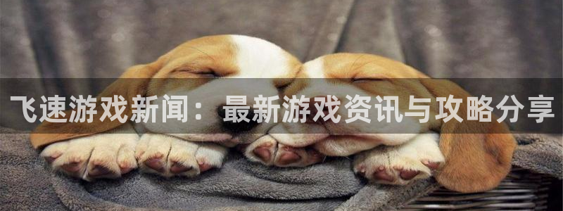 星欧娱乐什么意思：飞速游戏新闻：最新游戏资讯与攻略分享