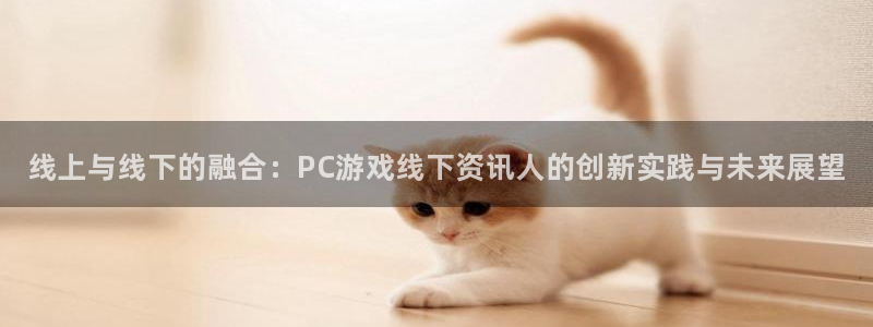 星欧娱乐：线上与线下的融合：PC游戏线下资讯人的创新实践与未