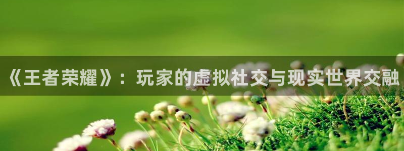 星欧娱乐平台注册资金多少：《王者荣耀》：玩家的虚拟社交与现实