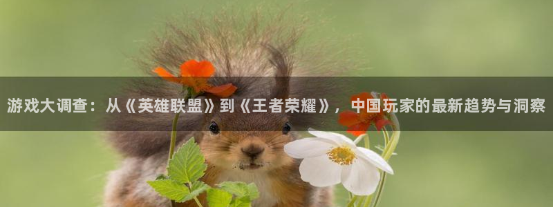 星欧娱乐直属：游戏大调查：从《英雄联盟》到《王者荣耀》，中国