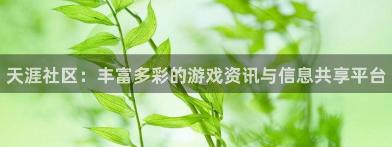 星欧娱乐注册登录平台：天涯社区：丰富多彩的游戏资讯与信息共享