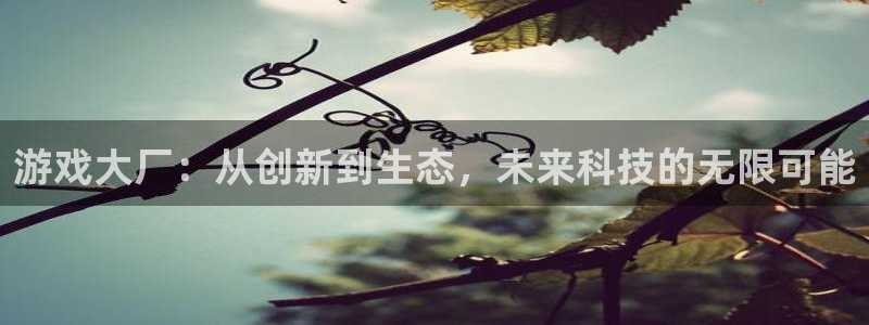 星欧娱乐网页登录入口官网：游戏大厂：从创新到生态，未来科技的