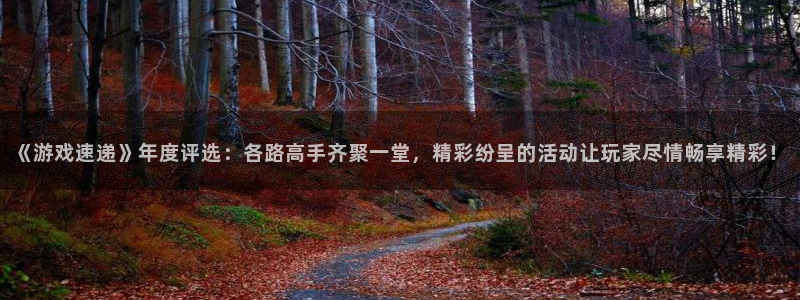 星欧娱乐网页登录入口下载：《游戏速递》年度评选：各路高手齐聚