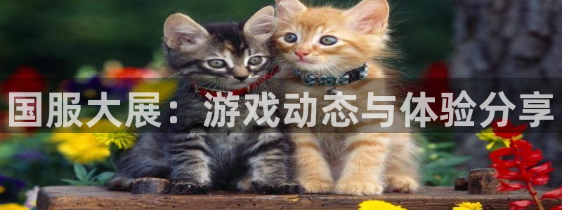星欧娱乐注册地址：国服大展：游戏动态与体验分享