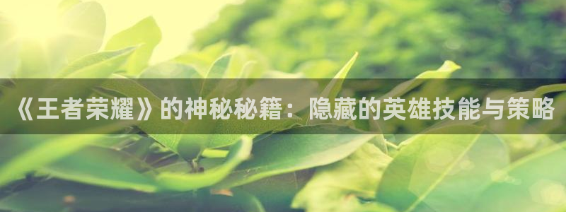 星欧娱乐平台登录：《王者荣耀》的神秘秘籍：隐藏的英雄技能与策