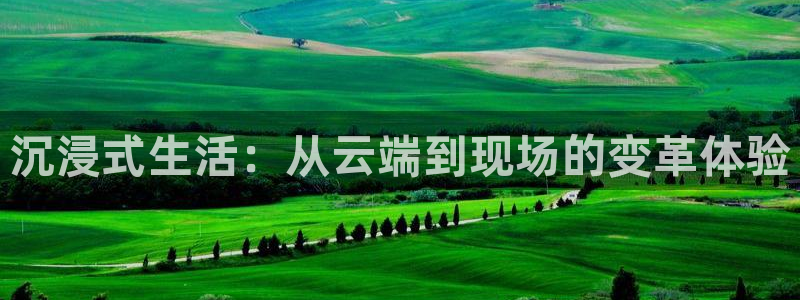 绿茵足球免费观看入口：沉浸式生活：从云端到现场的变革体验