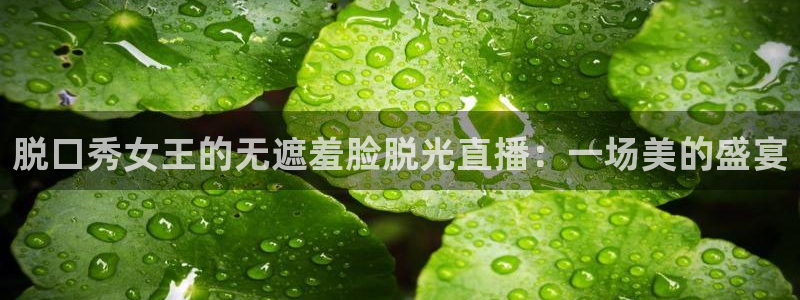 绿茵直播体育在线观看
