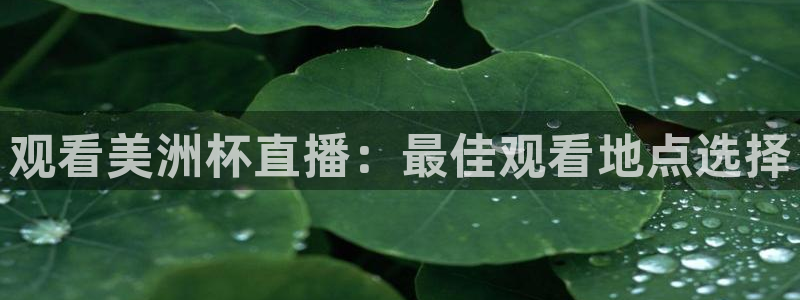 nba直播绿茵：观看美洲杯直播：最佳观看地点选择