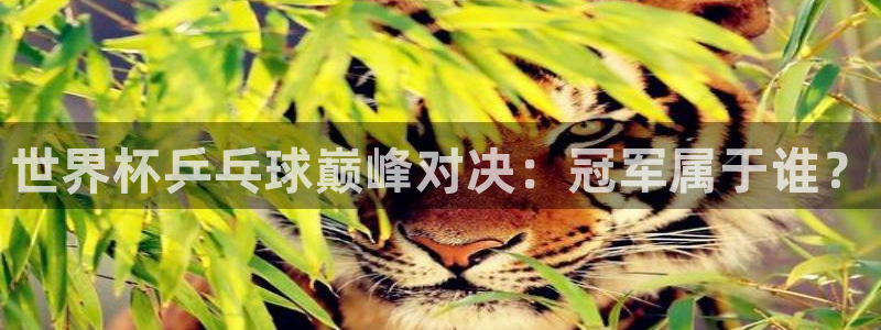 绿茵体育比赛直播：世界杯乒乓球巅峰对决：冠军属于谁？