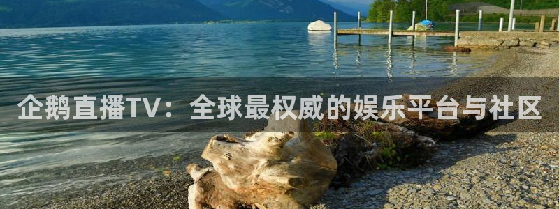 绿茵足球直播在线观看：企鹅直播TV：全球最权威的娱乐平台与社区