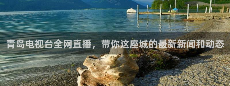 绿茵吧足球网：青岛电视台全网直播，带你这座城的最新新闻和动态