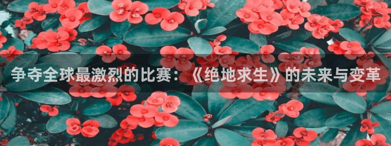 绿茵体育直播9939：争夺全球最激烈的比赛：《绝地求生》的未来与变革