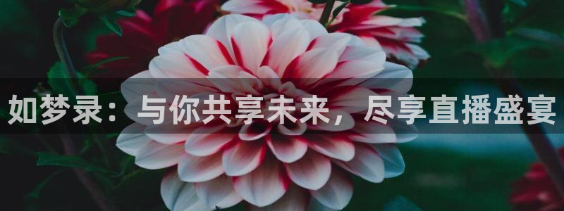 绿茵吧足球网：如梦录：与你共享未来，尽享直播盛宴